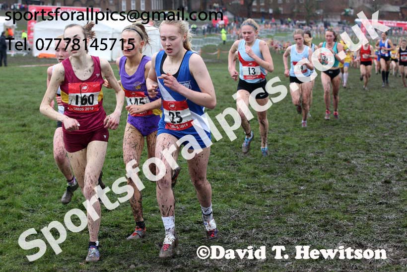 Senior girls 2019 New Balance English Schools Cross Country Champs, Temple Newsam, Leeds. Photo:  David T. Hewitson/Sports for All Pics